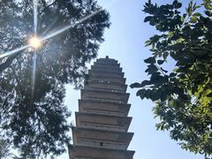 -洛阳白马寺