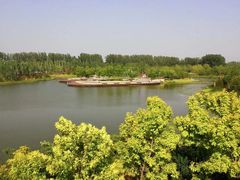 -东郊湿地公园