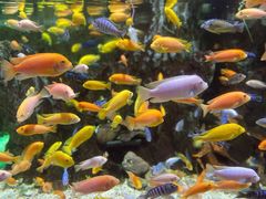 -太平洋海底世界