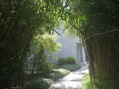 -梅园