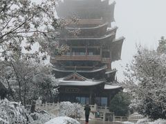 -杭州半山国家森林公园