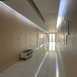 -上海首尔丽格医疗美容医院