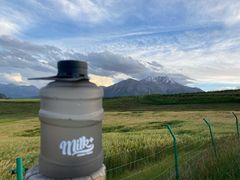 -milkplus·泰式奶茶(较场东路店)