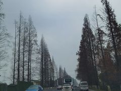 -熊猫家新派川菜(百里一·龙兴集店)