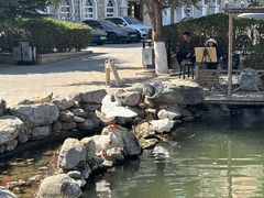 -天毓山庄·餐厅