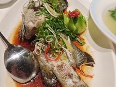 -顺德佬华侨城店·商务宴请·团建