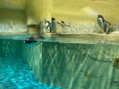 -威海华夏城景区