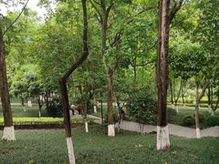 -龙头寺公园