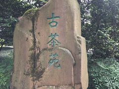 -南山植物园