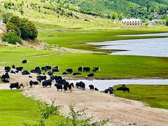 -象山村腊排骨(丽江总店)