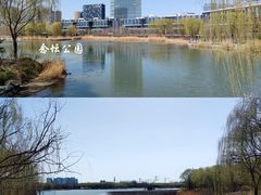 -大兴滨河森林公园