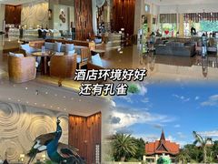 -西双版纳融创皇冠假日度假酒店