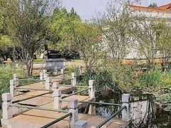 -庾园