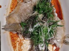 -老伙记海鲜码头(北滘店)