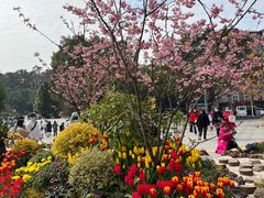 -南山植物园