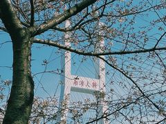 -南浦大桥长途旅游客运站