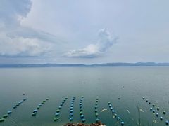 -抚仙湖禄充风景区