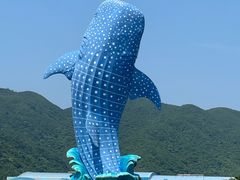 -珠海长隆海洋王国