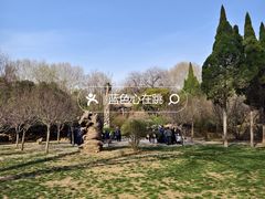 -洛阳市牡丹公园