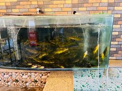 -荣德灶台鱼(圣泉寺店)