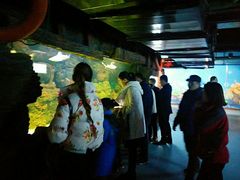 -临沂极地海洋王国