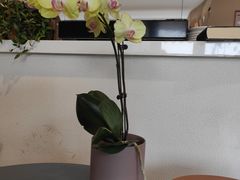 -LAB COFFEE来杯咖啡(浦仓路店)