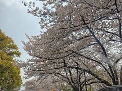 -常熟方塔园