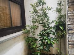 -青果巷历史文化街区