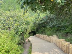 -北京西山国家森林公园