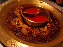 鸳鸯锅-哥老官重庆美蛙鱼头(虹口龙之梦店)