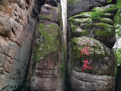 -汤旺河林海奇石景区