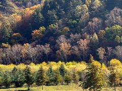 -塞罕坝国家级自然保护区