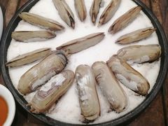 -阿毛饭店(和义路店)