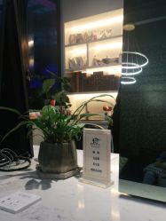 -丝语萱形象