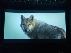 -幸福蓝海国际影城(崇安寺T12店)