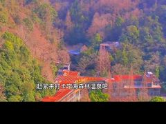 -宁海森林温泉