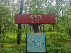 -合肥滨湖国家森林公园