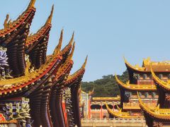 -东莞市大岭山森林公园