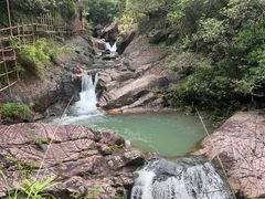 -广州白江湖森林公园