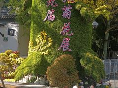 -汇龙潭