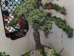 -小菜园新徽菜(南京秦淮龙蟠汇店)