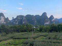 -明仕田园