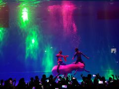 -芜湖新华联大白鲸海洋公园