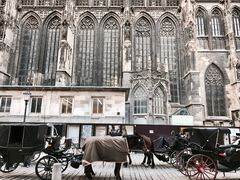 -斯蒂芬主教座堂(Stephansdom)