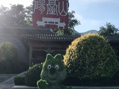 -阳台山自然风景区