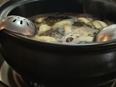 -乳仔牛牦牛汤锅 烤羊排(松潘古城店)