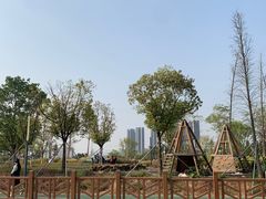 -光明小镇欢乐田园