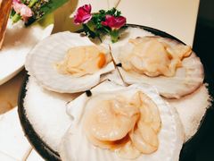 -汤城·料青山