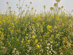 -瑶湖湿地自然保护区