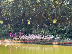 -广州长隆飞鸟乐园